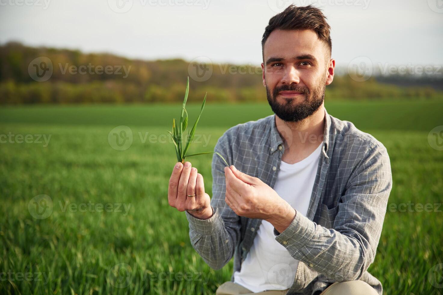 Portrait, looking at camera, holding wheat. Handsome young man is on agricultural field photo