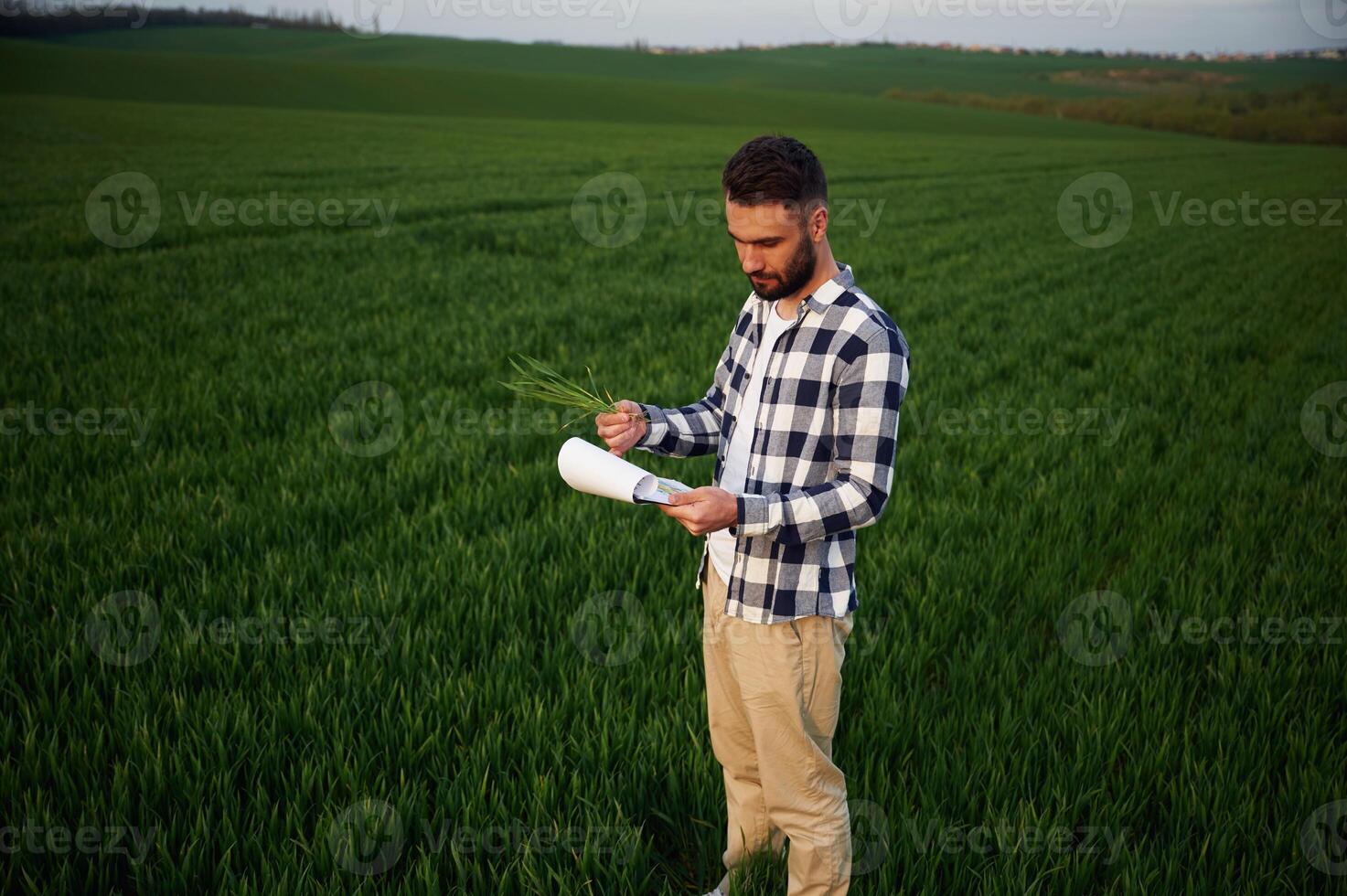 Spring, season.. Handsom,e young man is on agricultural field photo