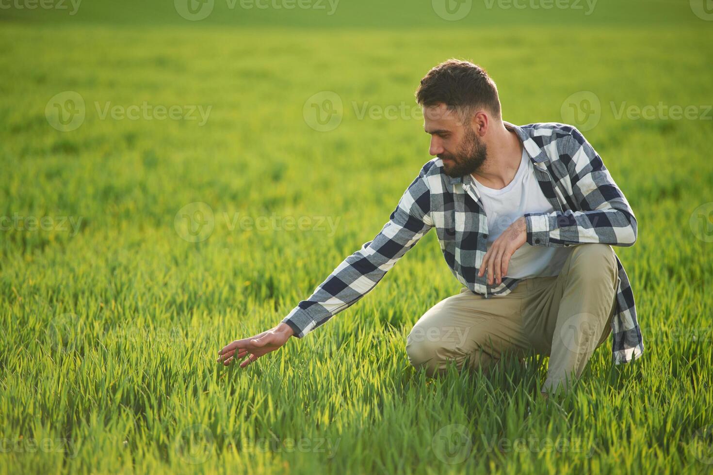 Bearded ,handsome ,young man in checkered shirt is on agricultural field photo
