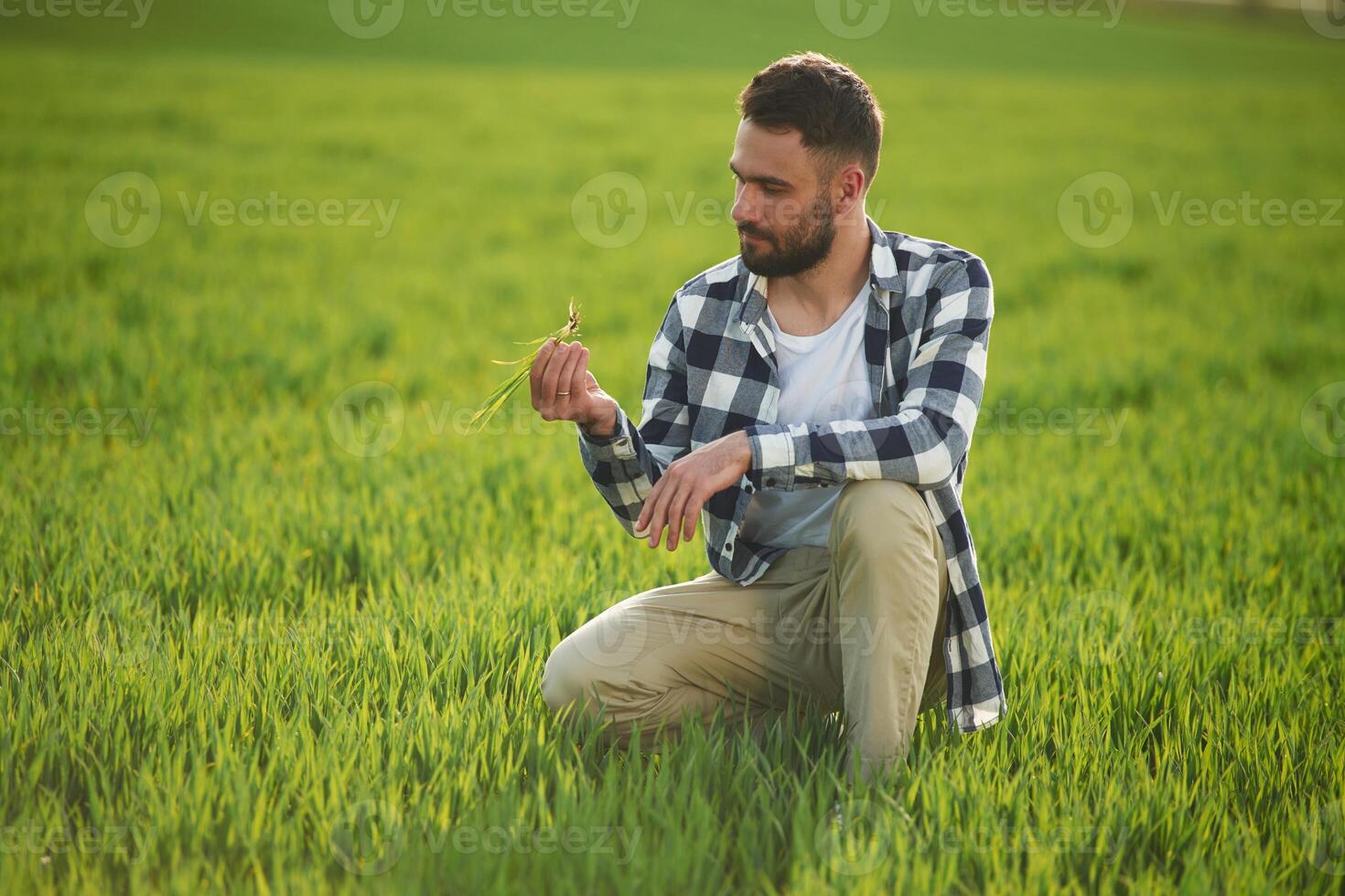 Agricultural worker., Handsome young man is on the field photo