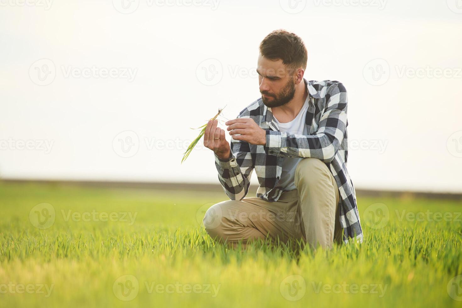 Agricultural worker... Handsome young man is on the field photo