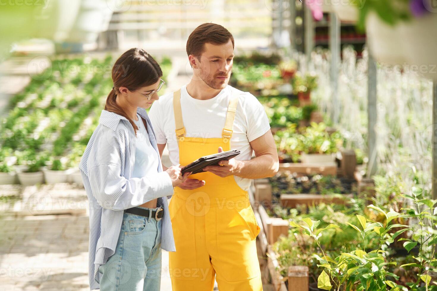 Standing, using digital tablet. Florist man and woman are working together in bright greenhouse photo