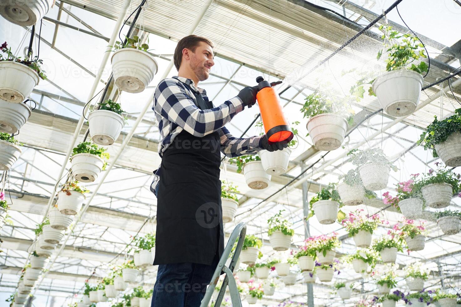 Process of watering. Florist man working in garden center. Successful employee is in a bright greenhouse photo