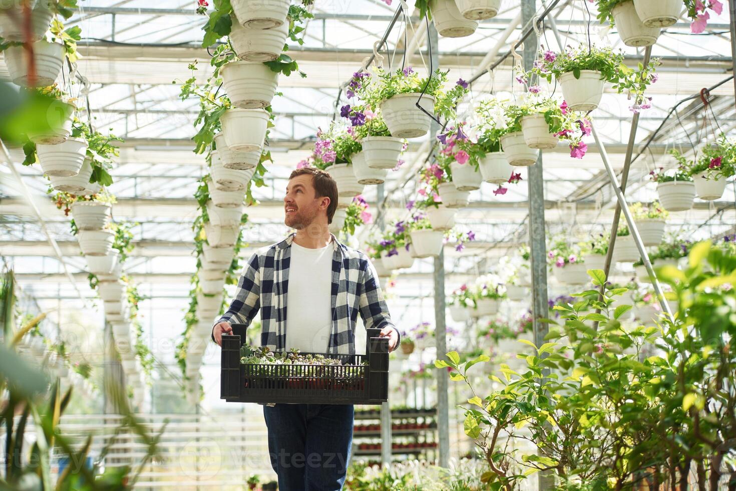 Employee is, working ,in garden center. Successful employee is in a bright greenhouse photo