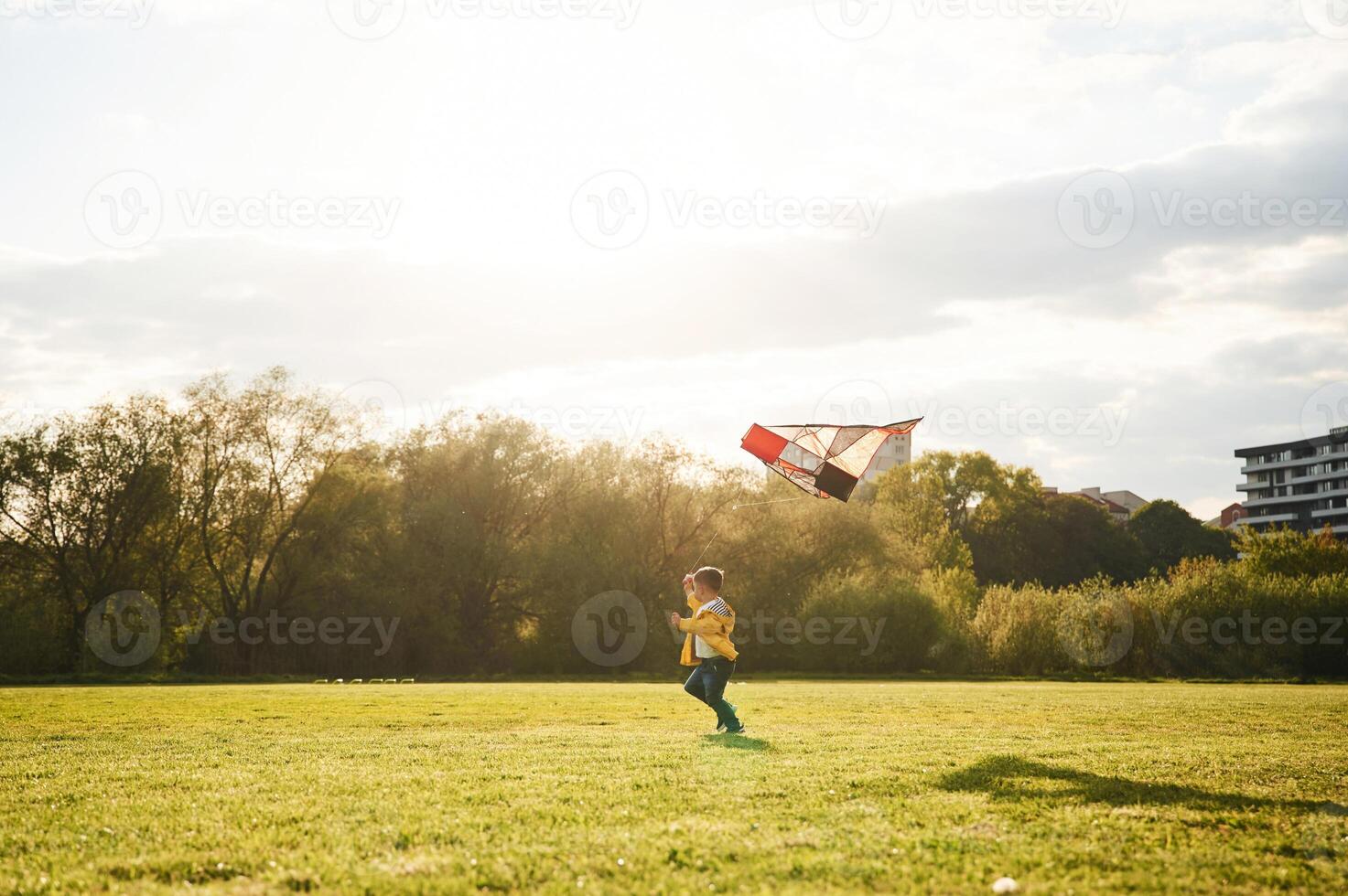 Distant view. Little boy is playing with a kite on the field at summer time photo