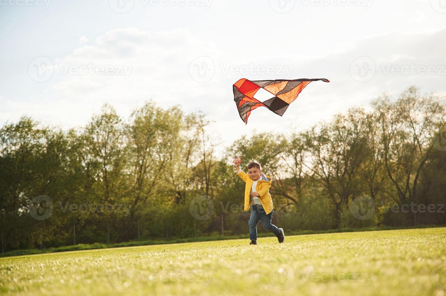 Trees,, beautiful, nature.. Little boy is playing with a kite on the field at summer time photo