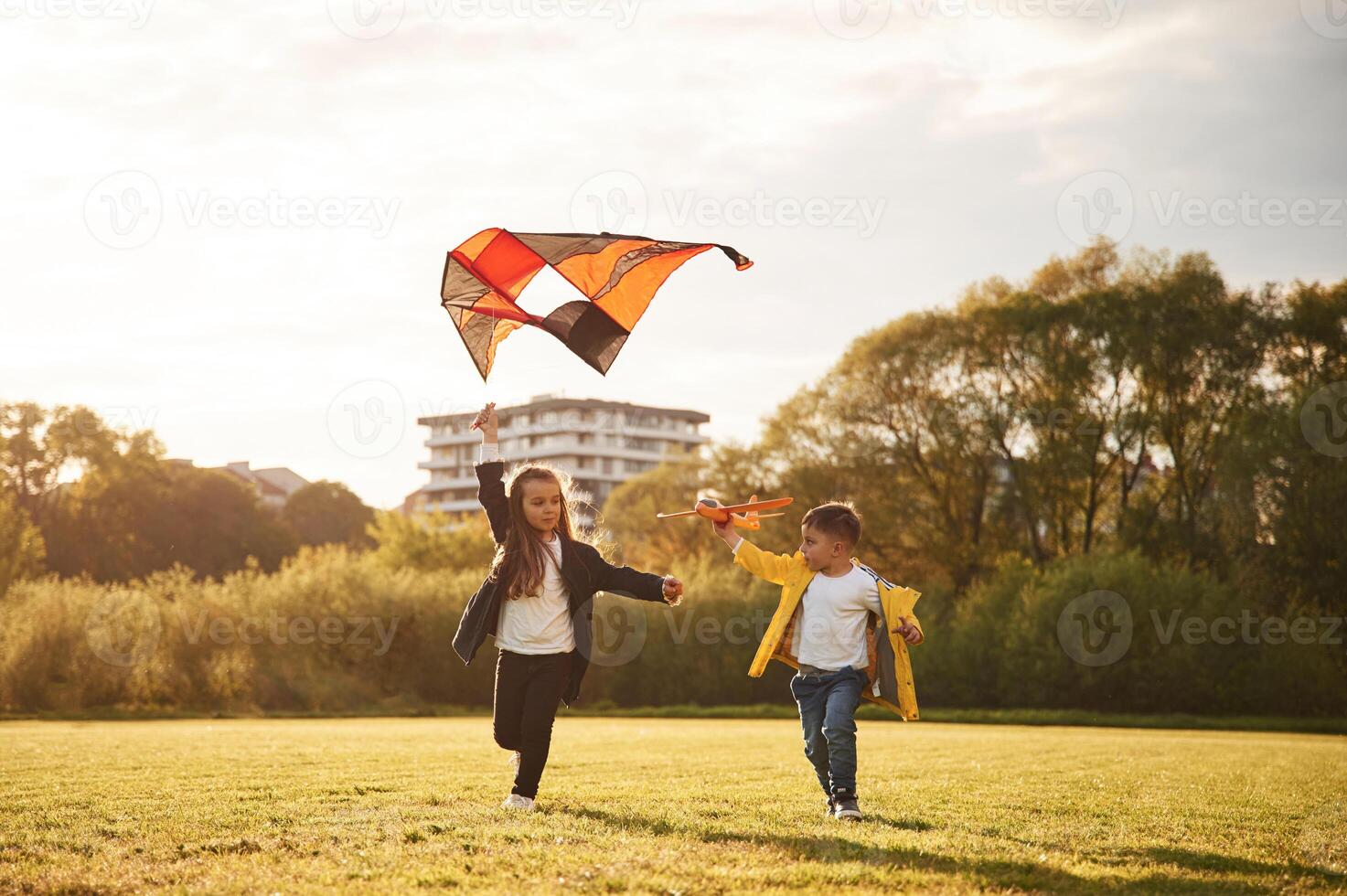 Two kids, are ,playing with kite on the summer field photo