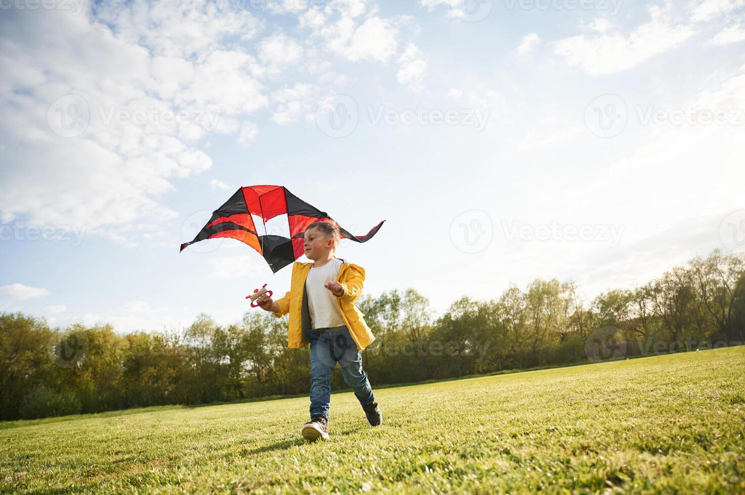 On green meadow. .Little boy, is playing with a kite photo