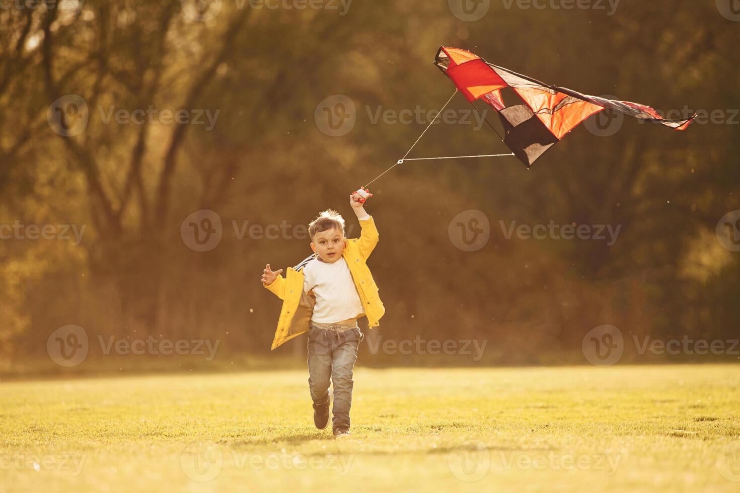 Amazing ,sunlight. Little boy is playing with a kite on the field at summer time photo