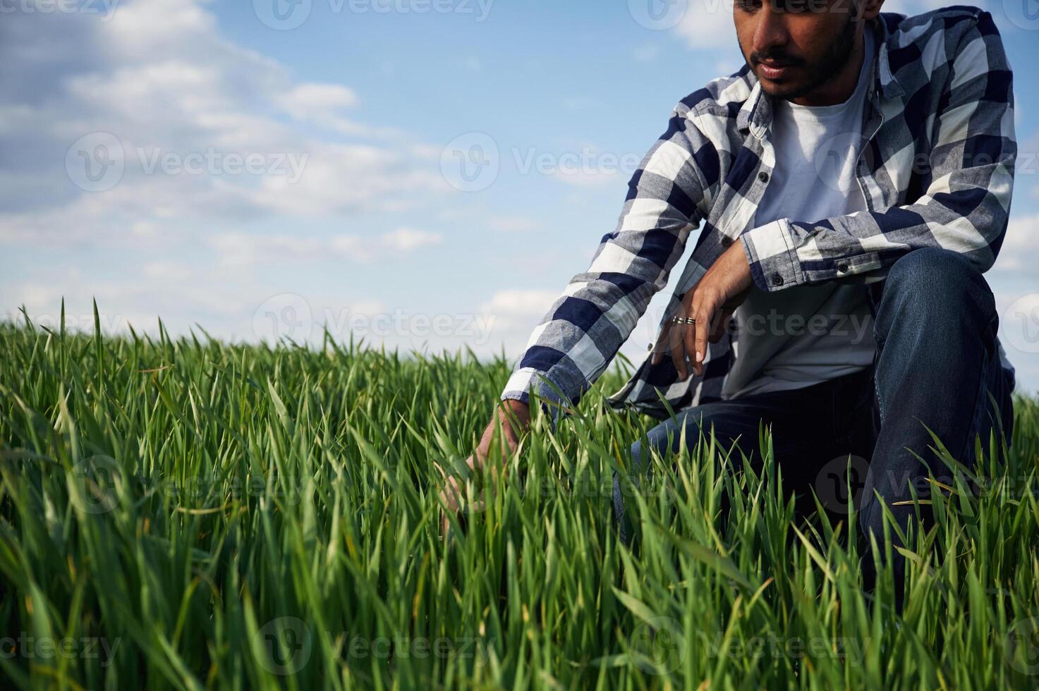 Wheat is growing.. Touching, the grass. Handsome Indian man is on the agricultural field photo