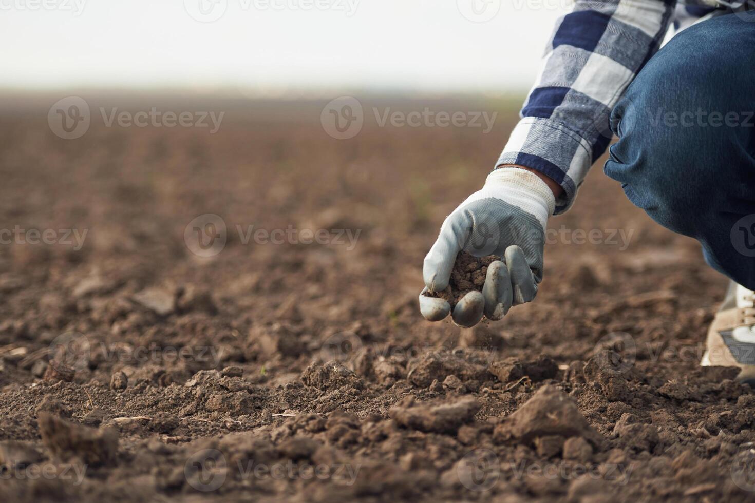 Close up view of man's hand in a glove that is holding soil on the agricultural field photo
