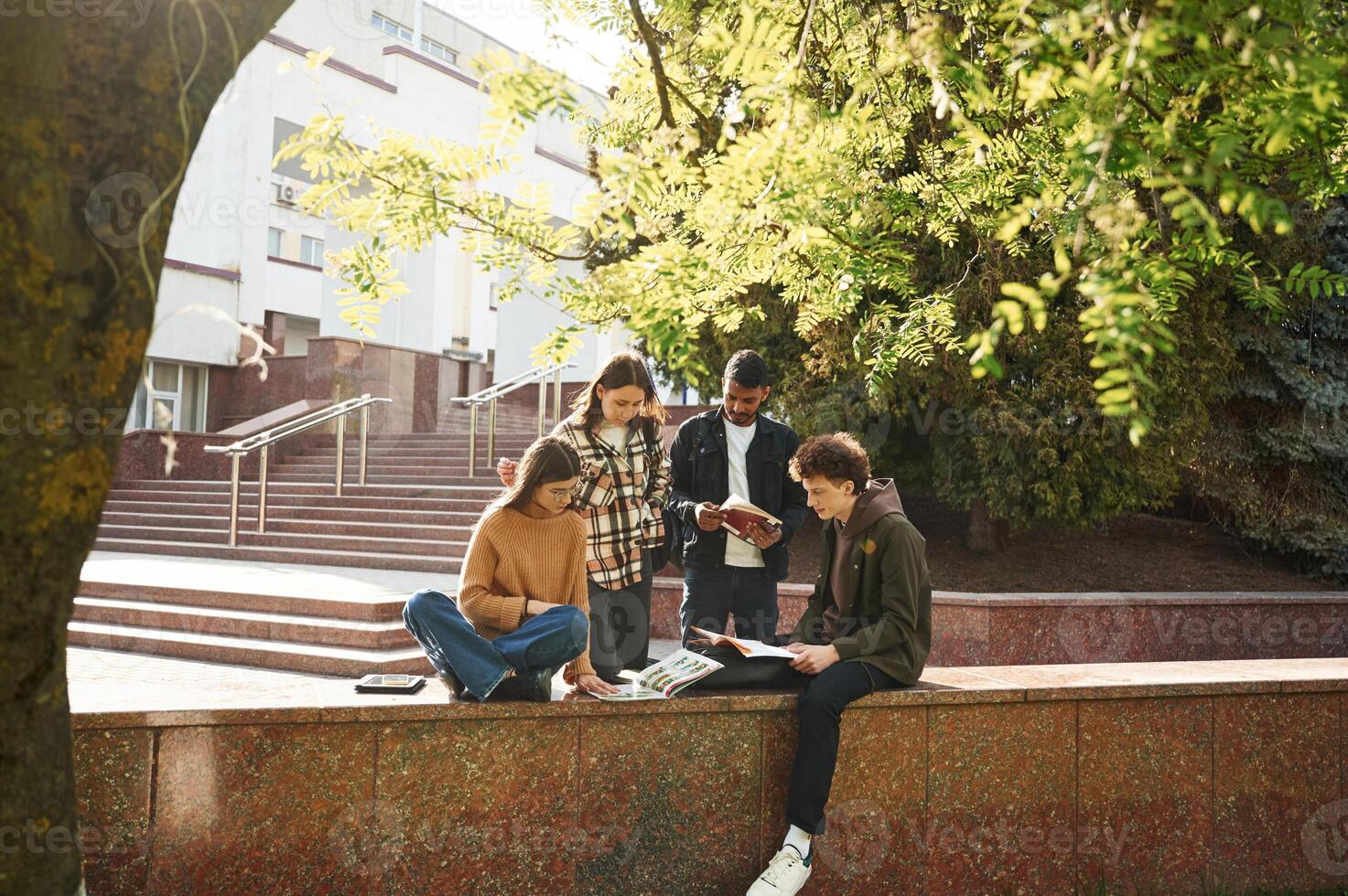 Tree with green leaves.. Four young students in casual clothes are together outdoors photo