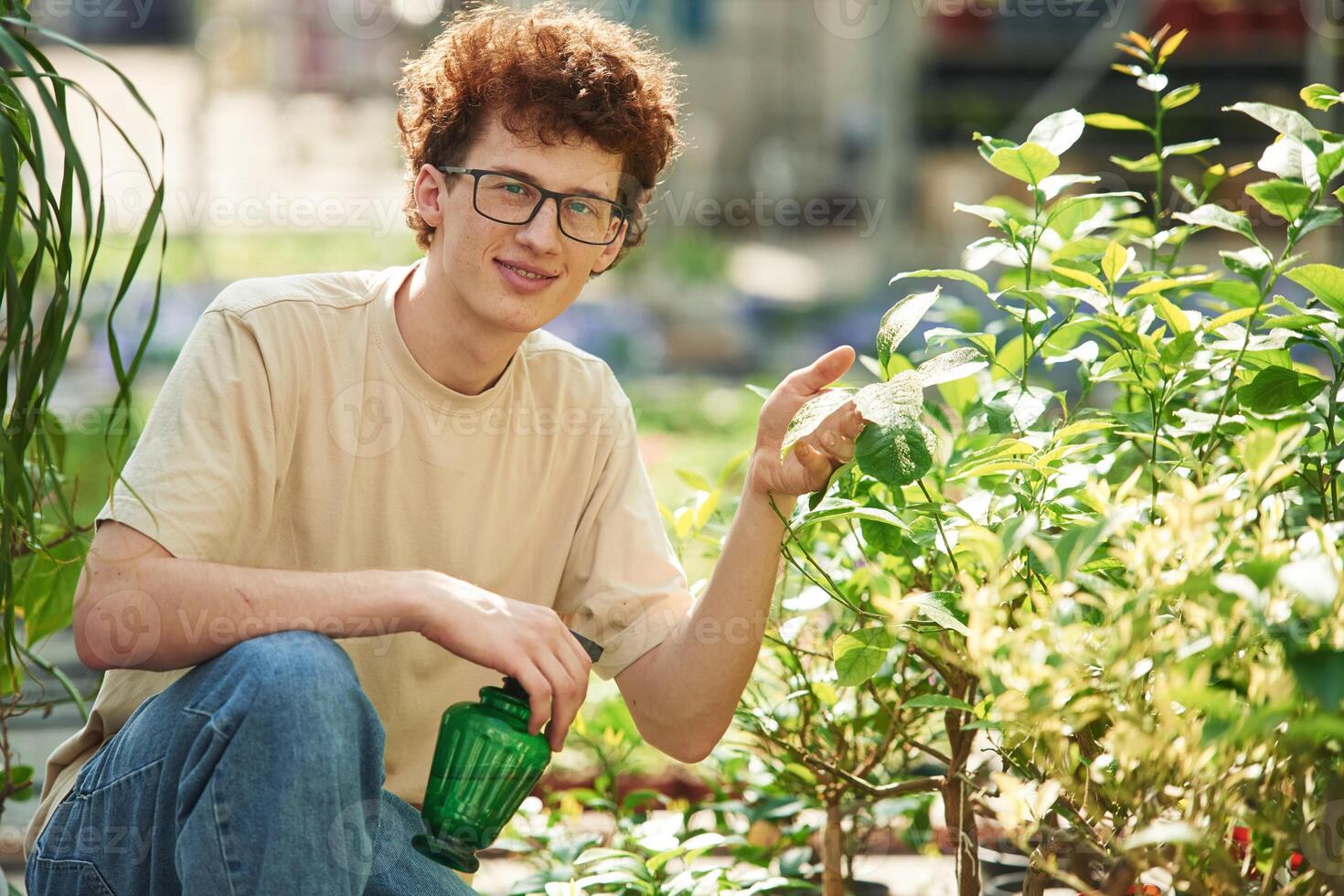 With, green, watering bottle. Young man with curly hair and in glasses is in greenhouse photo