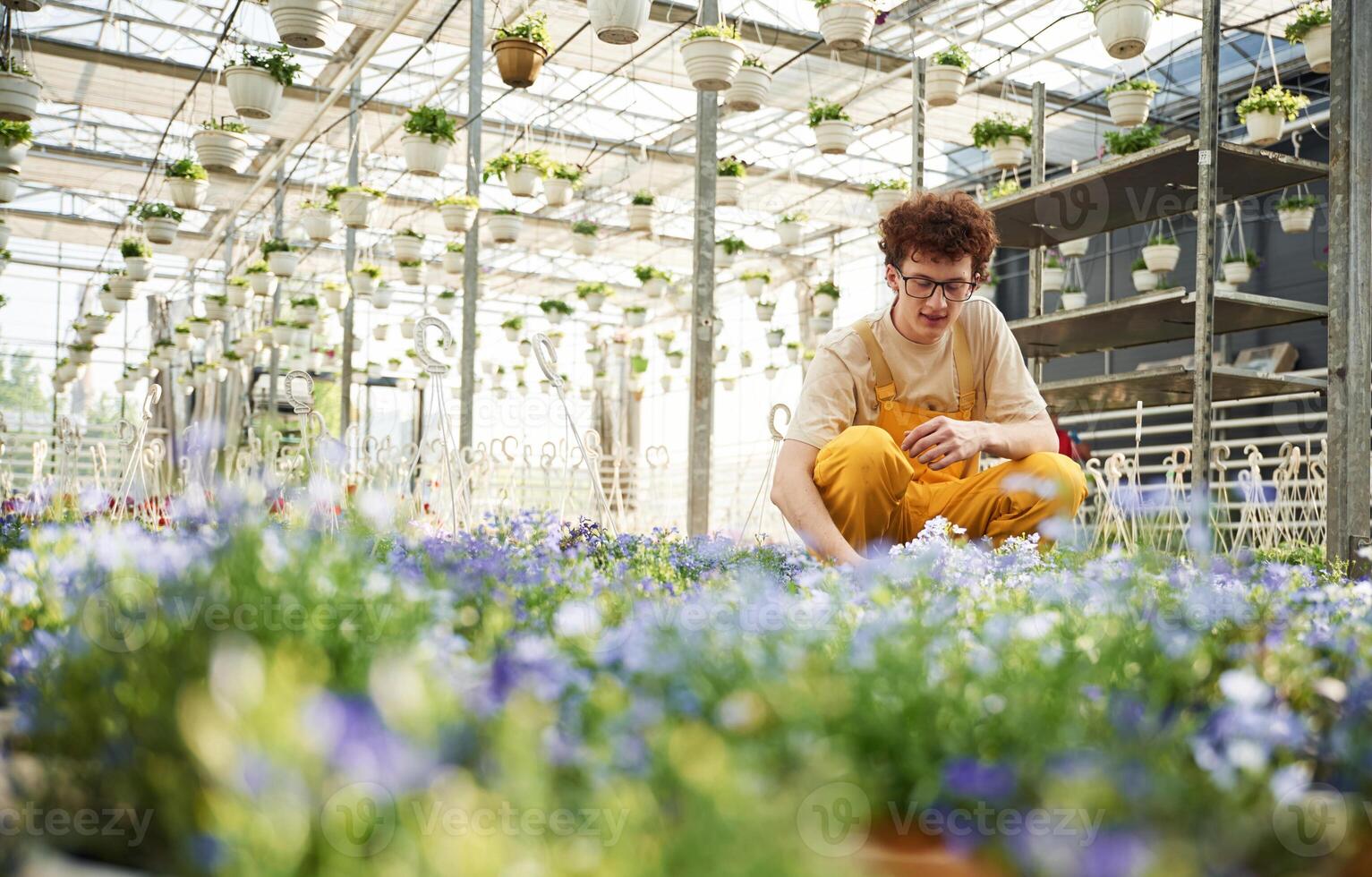 Many of, the pots with flowers. Young man with curly hair and in glasses is in greenhouse photo