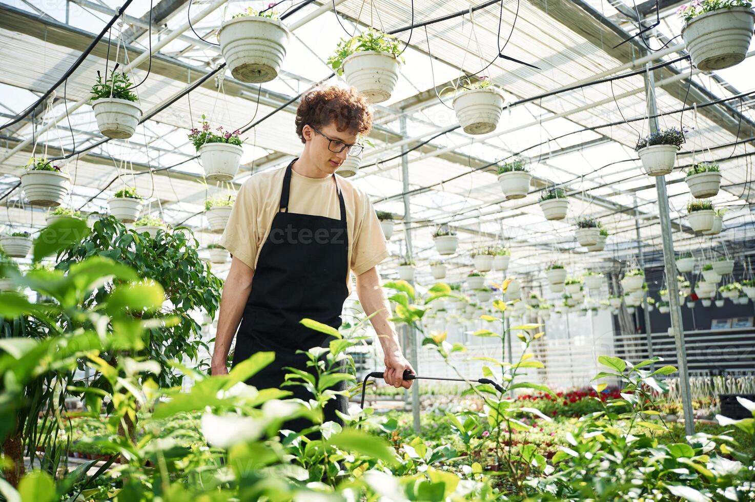 Daily, watering. Young man with curly hair and in glasses is in greenhouse photo