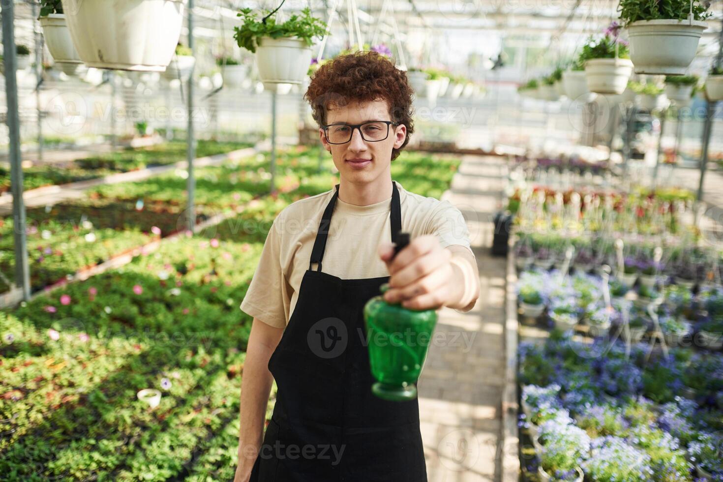 Conception of watering. Young man ,,with curly hair and in glasses is in greenhouse photo