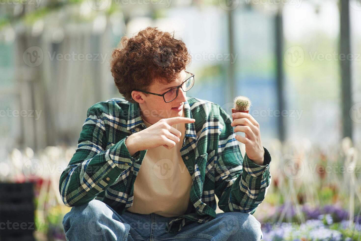 Sitting, and holding the little cactus. Young man with curly hair and in glasses is in greenhouse photo