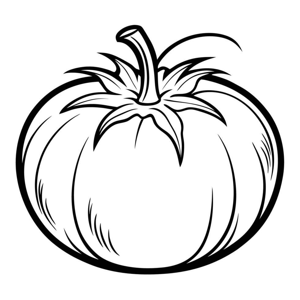 Hand Drawn Isolated Tomato Illustration in Vibrant Red vector