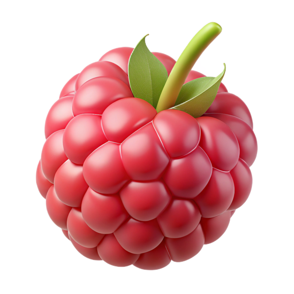 fascinating sought-after Single raspberry NO BACKGROUND with Transparent Background. png