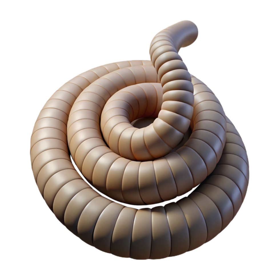unparalleled avant-garde Rattlesnake tail, coiled NO BACKGROUND with Transparent Background. expertly shot png