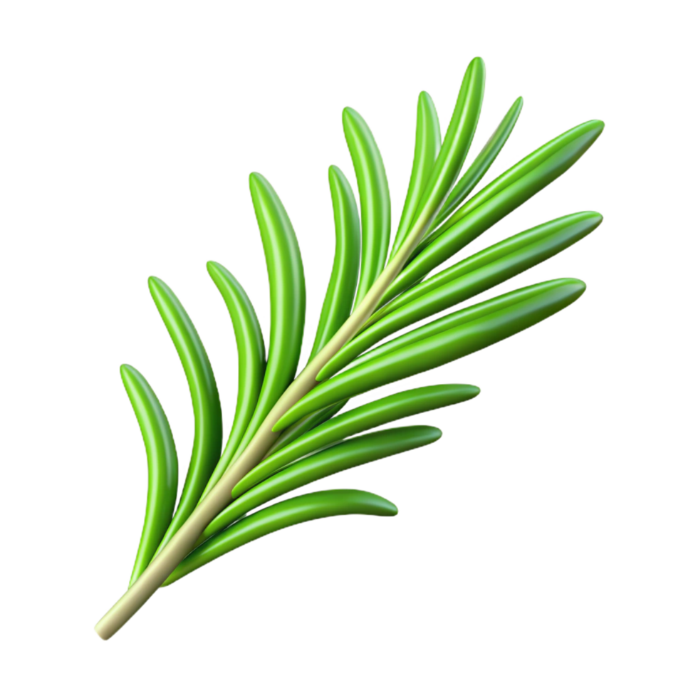 glorious mid-century A single sprig of rosemary NO BACKGROUND with Transparent Background. masterfully captured png