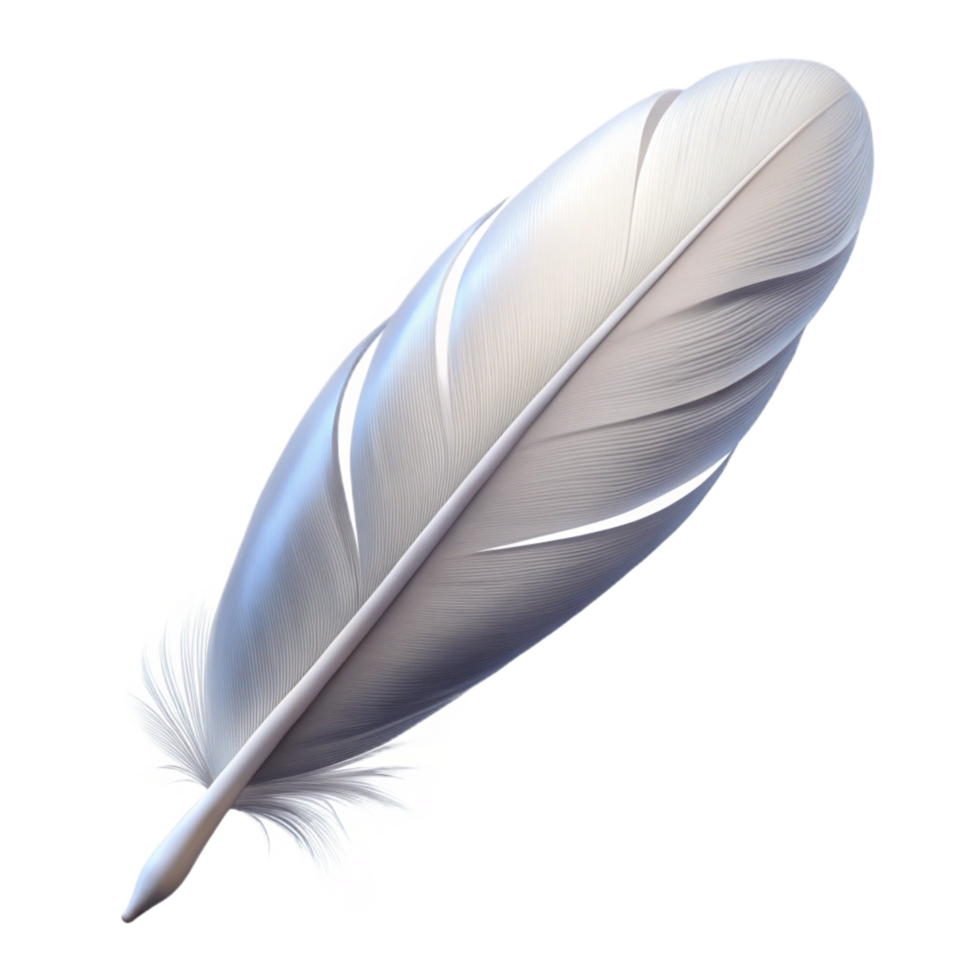gorgeous rustic A single white feather. NO BACKGROUND with Transparent Background. 4K png