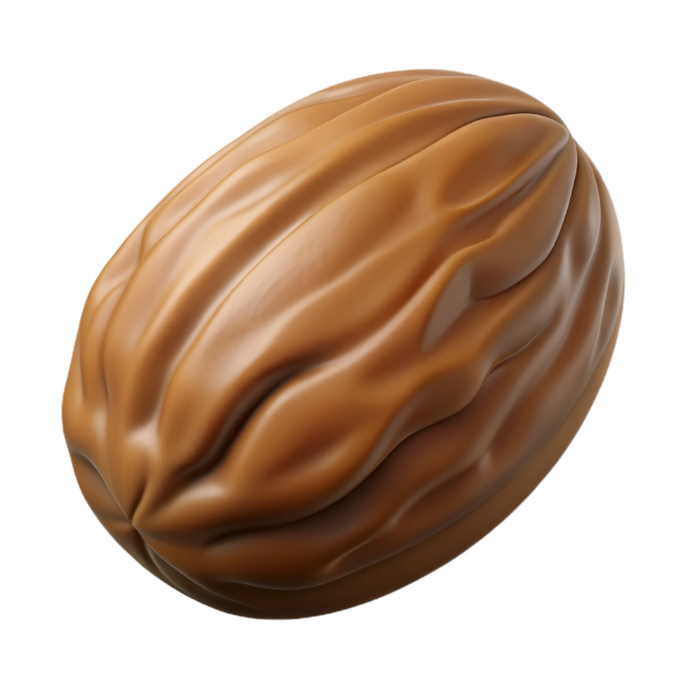 enchanting inspired Pecan nut in shell NO BACKGROUND with Transparent Background. png