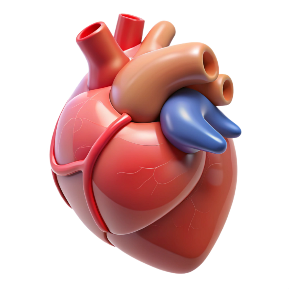 dramatic surreal Heart, human organ, NO BACKGROUND with Transparent Background. luxury png