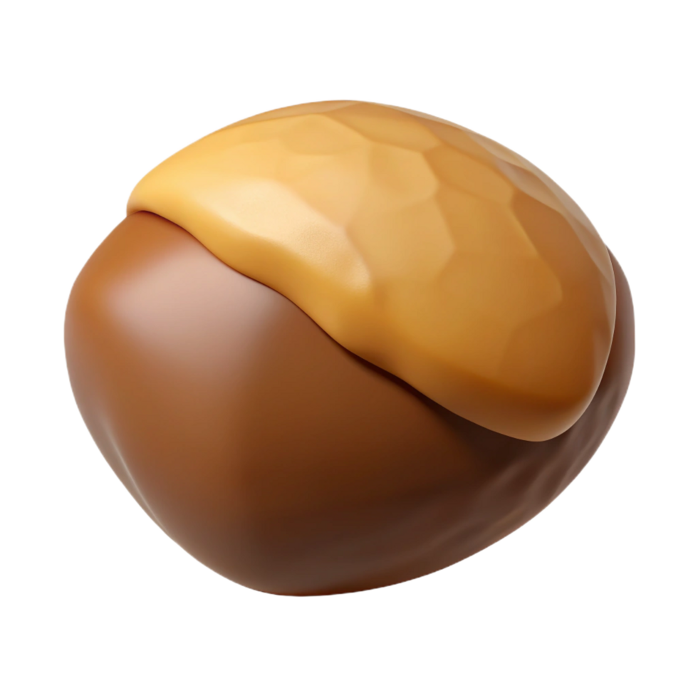 mesmerizing bold retro Brazil nut NO BACKGROUND with Transparent Background. high quality png