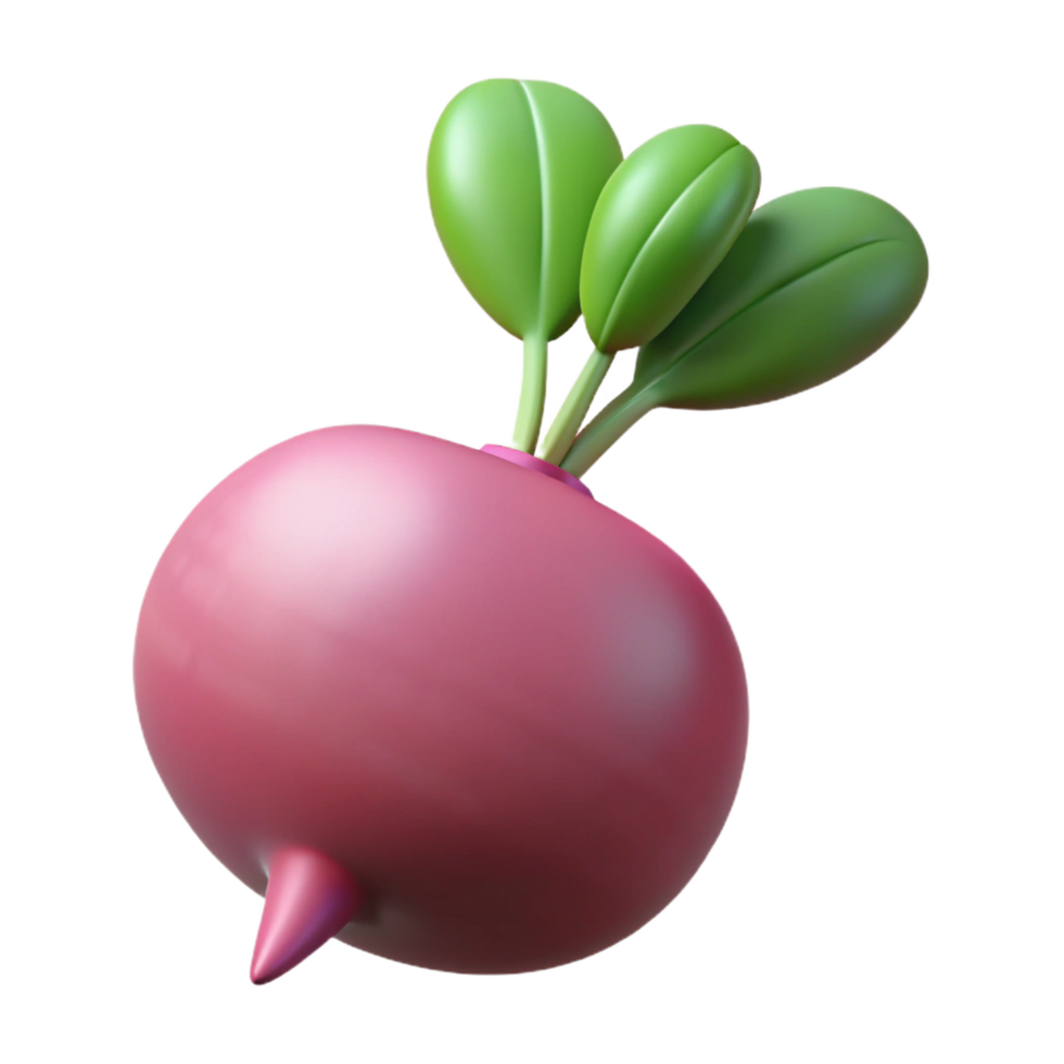gorgeous harmonious elegant Single radish with leaves NO BACKGROUND with Transparent Background. studio quality png