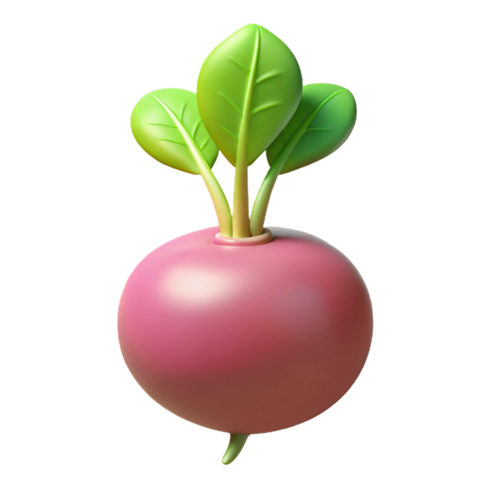 peaceful splendid Single radish with leaves NO BACKGROUND with Transparent Background. detailed png