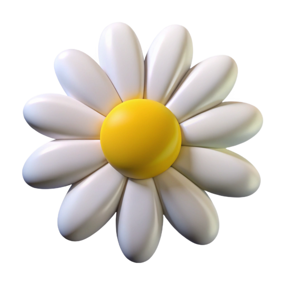 striking romantic baroque A single, white daisy, with yellow center, NO BACKGROUND with Transparent Background. genuine png
