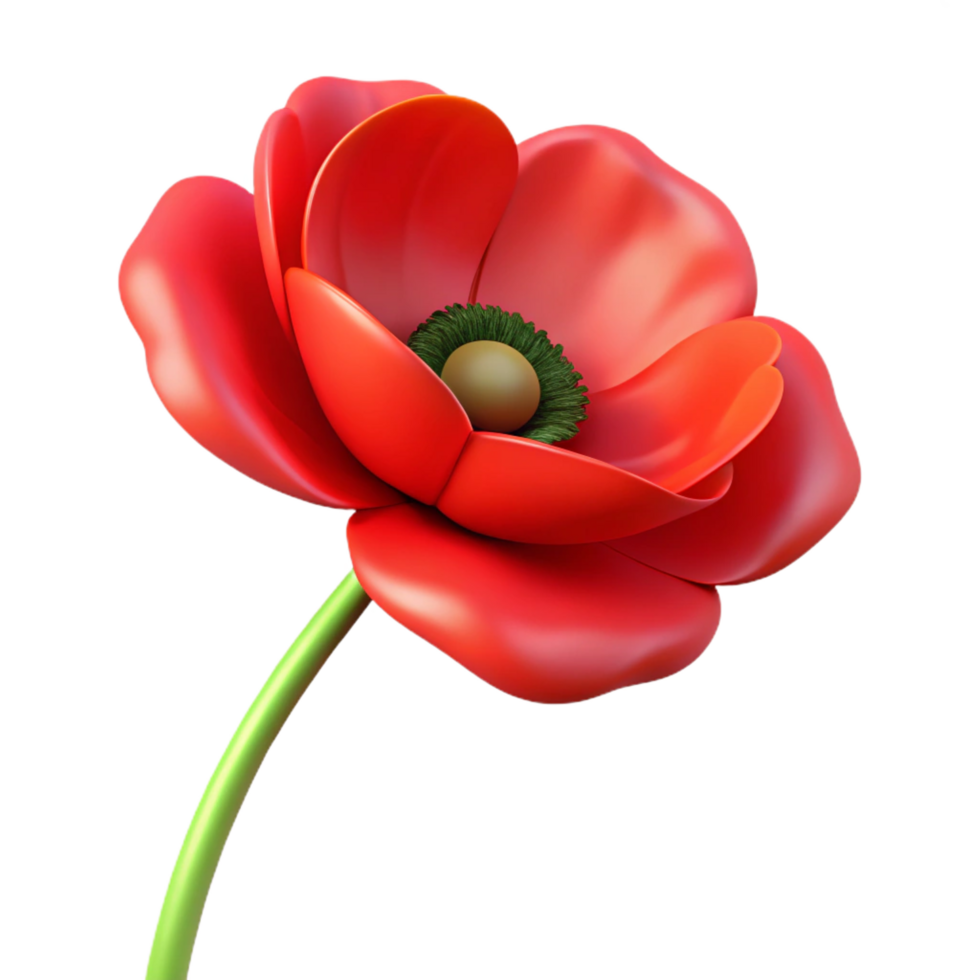 memorable gothic A single, red poppy flower, NO BACKGROUND with Transparent Background. studio quality png