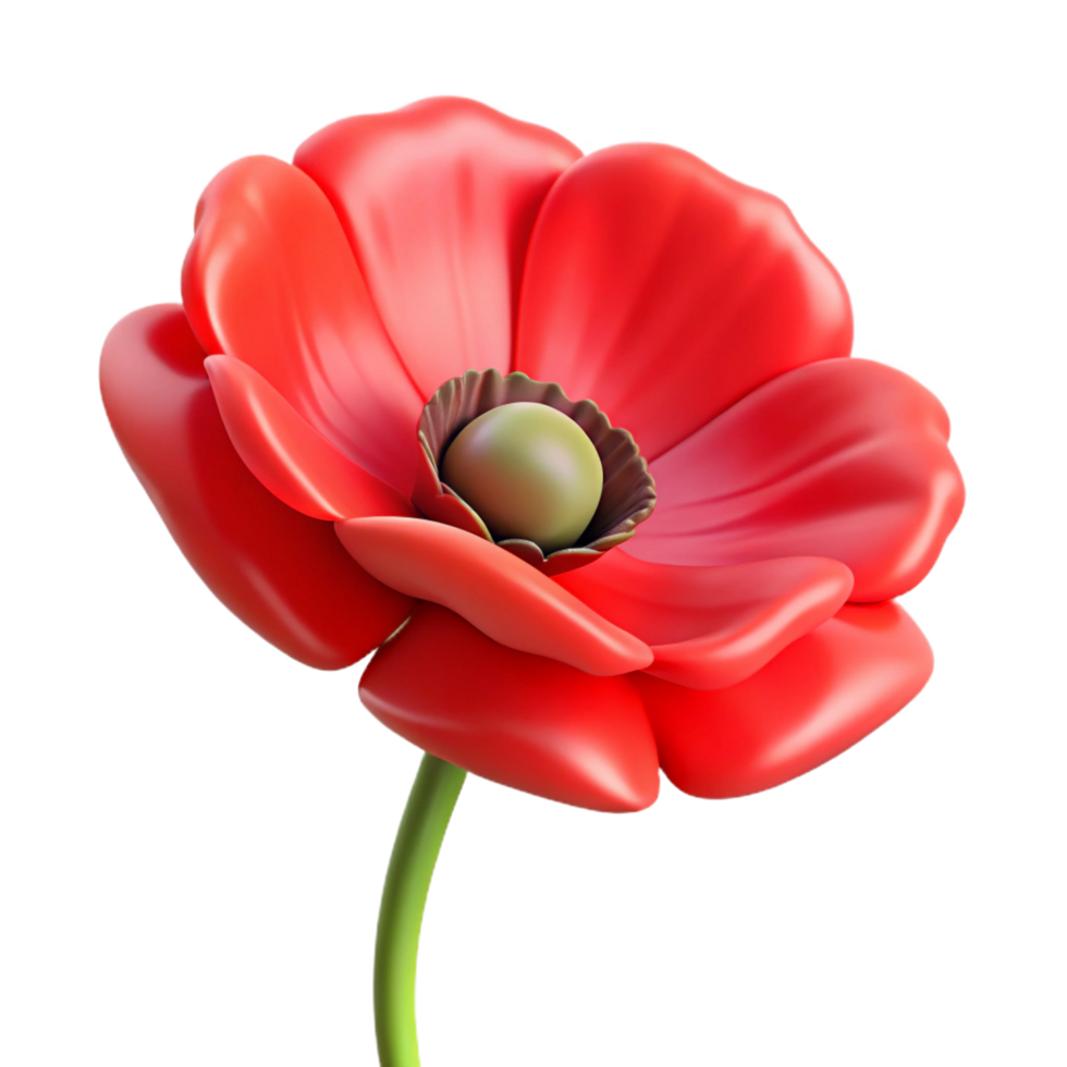 tranquil breathtaking A single, red poppy flower, NO BACKGROUND with Transparent Background. handcrafted png
