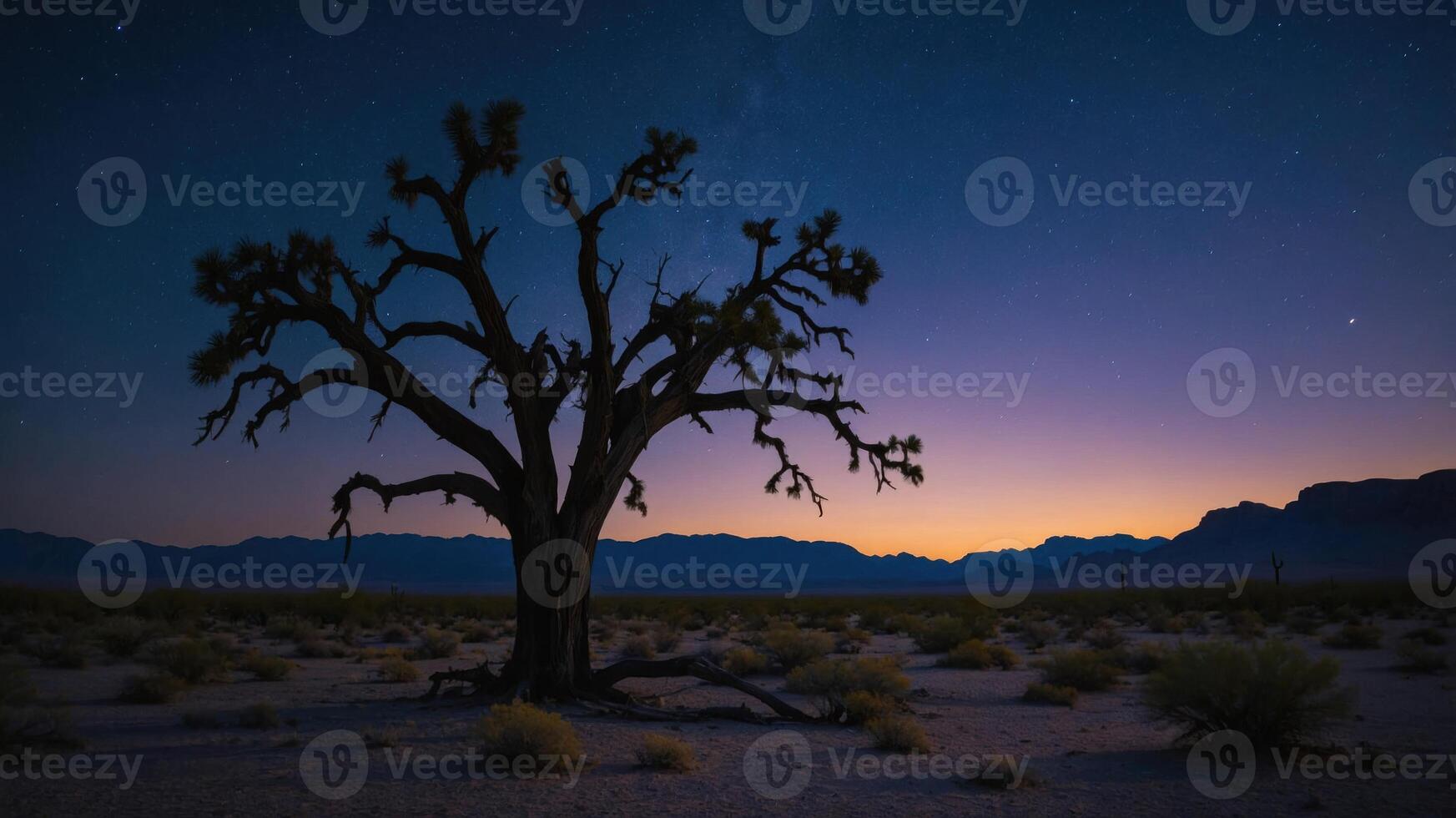 A solitary tree stands against a twilight sky filled with stars in a desert landscape. photo