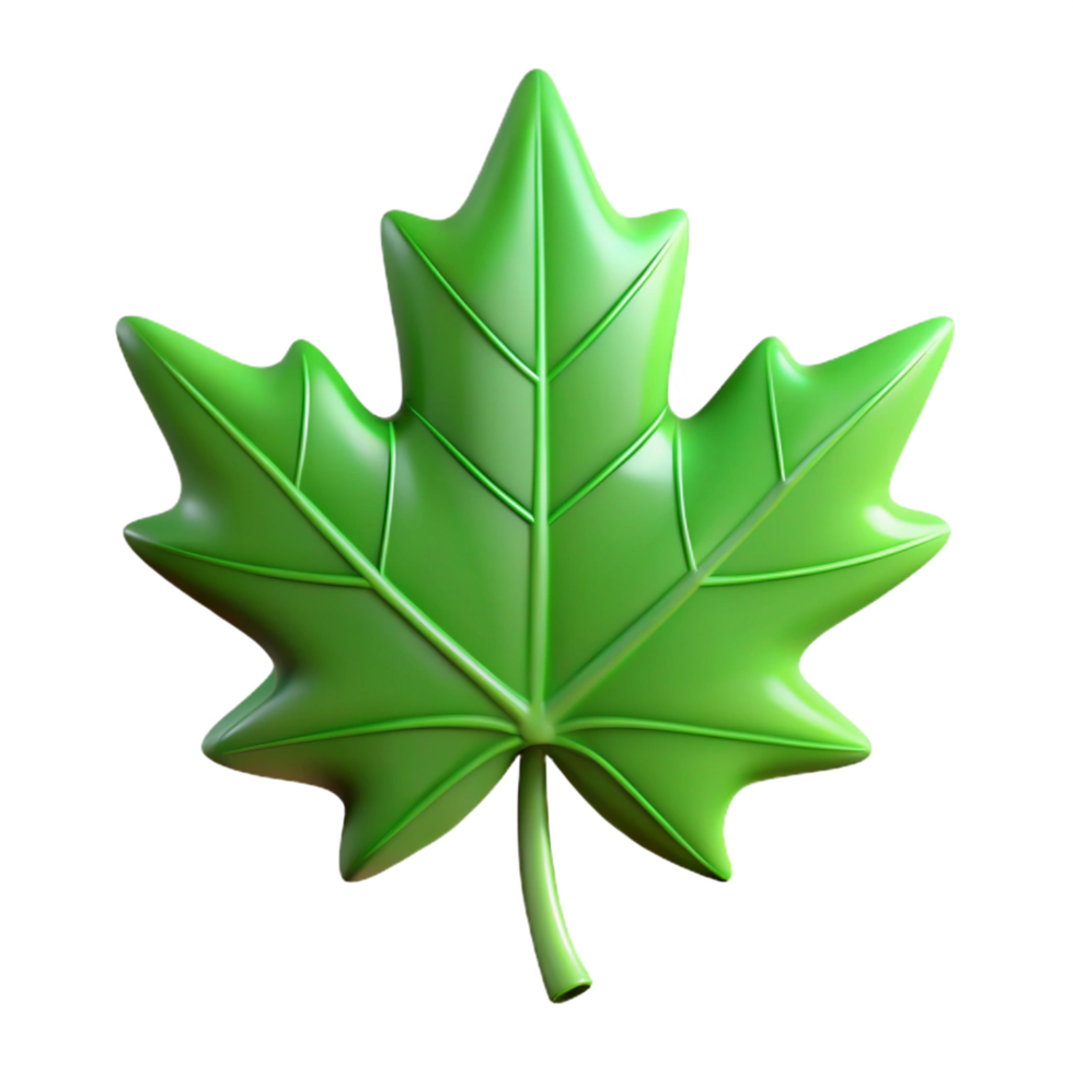 alluring elegant Green leaf of a maple tree NO BACKGROUND with Transparent Background. fine detail png