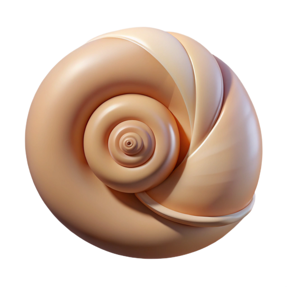 bold dazzling Single seashell, spiral shaped NO BACKGROUND with Transparent Background. premium png