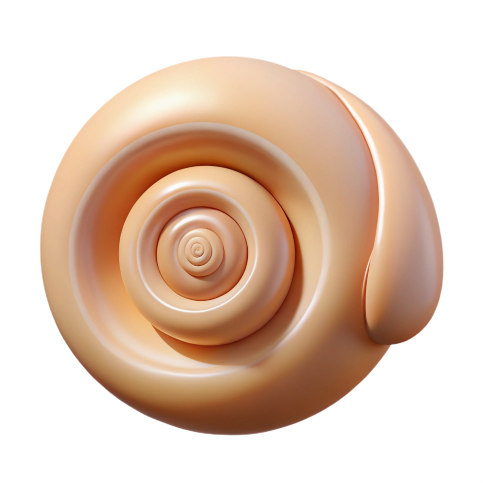 coveted abstract Single seashell, spiral shaped NO BACKGROUND with Transparent Background. museum quality png