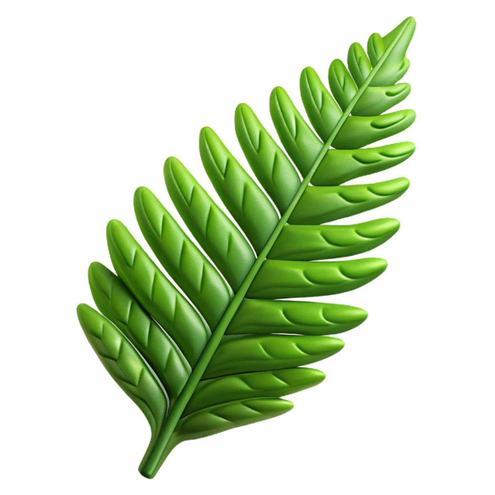 extraordinary artistic Fern leaf NO BACKGROUND with Transparent Background. gallery standard png