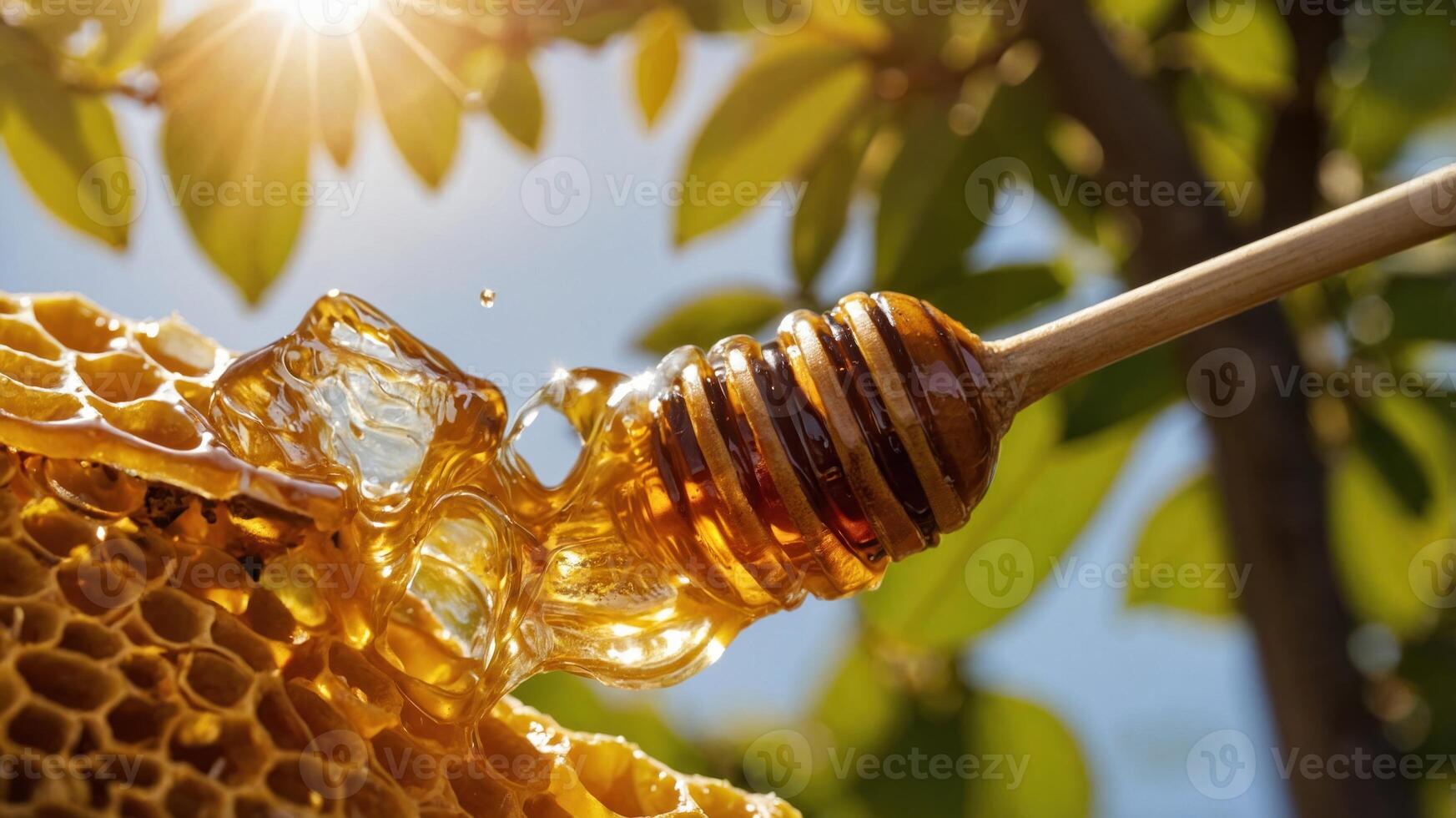 Close-up of honey dripping from a honeycomb with sunlight filtering through leaves. photo