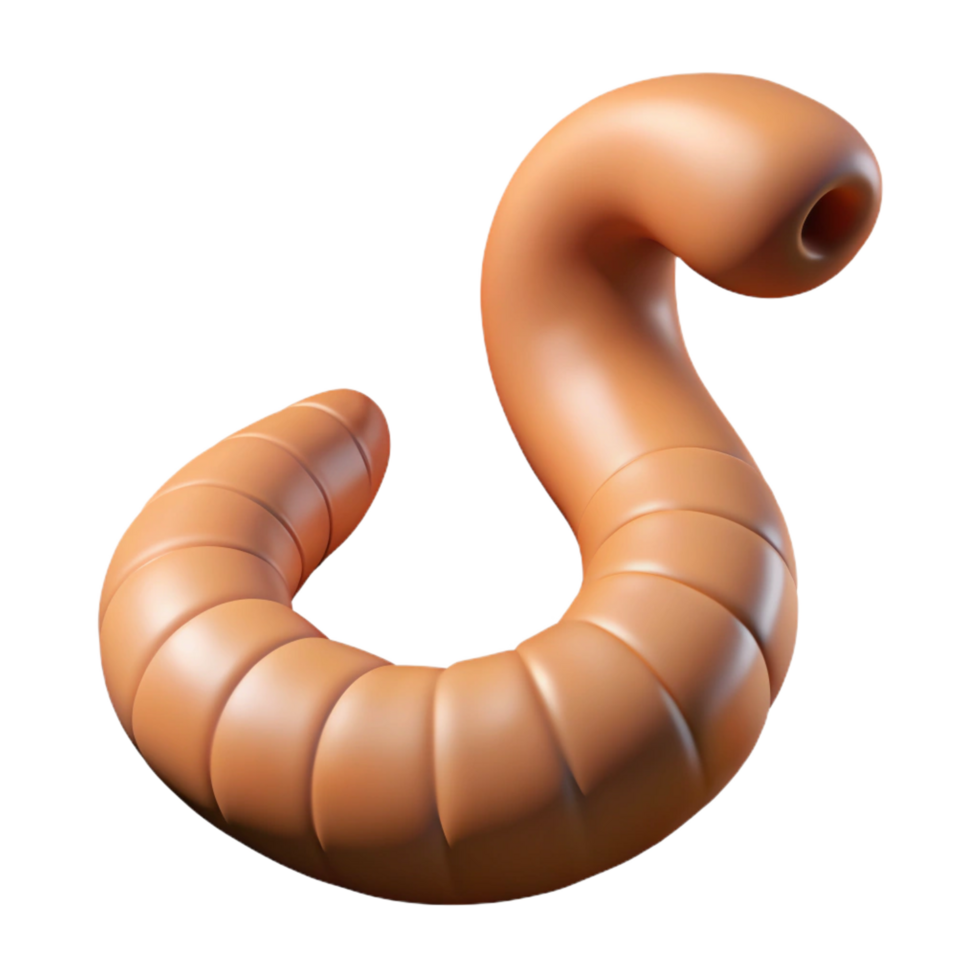 impressive elegant Earthworm NO BACKGROUND with Transparent Background. 4K png