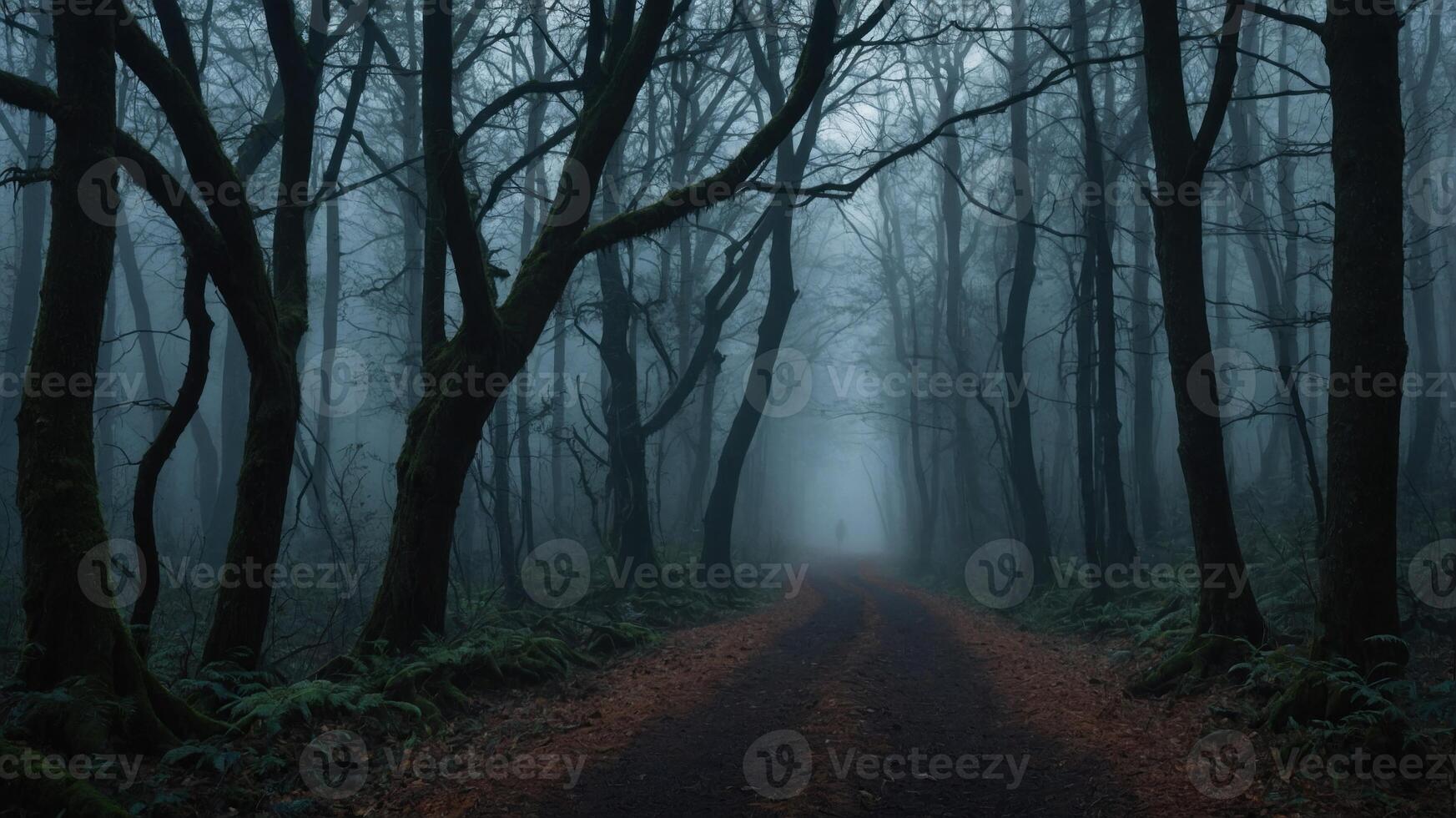 A misty forest path with silhouetted trees, creating a mysterious and eerie atmosphere. photo