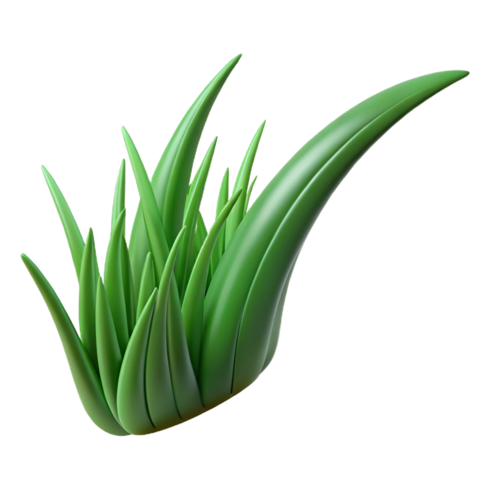 extraordinary bold rustic Single blade of green grass NO BACKGROUND with Transparent Background. premium png