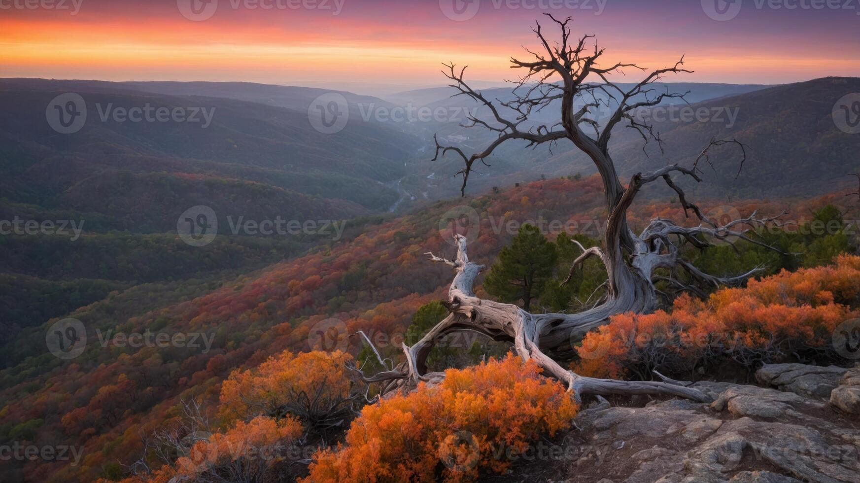 A serene landscape at sunset featuring a twisted tree and vibrant autumn foliage. photo