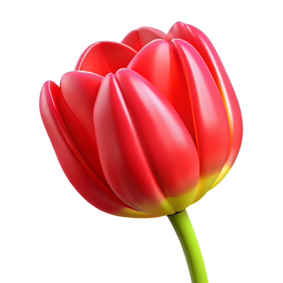hypnotic mid-century Tulip flower, red with yellow edges NO BACKGROUND with Transparent Background. perfect clarity png