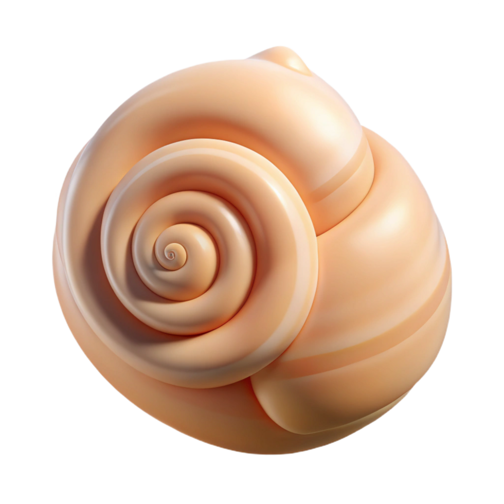 dramatic stunning Single seashell, spiral shape NO BACKGROUND with Transparent Background. professional png