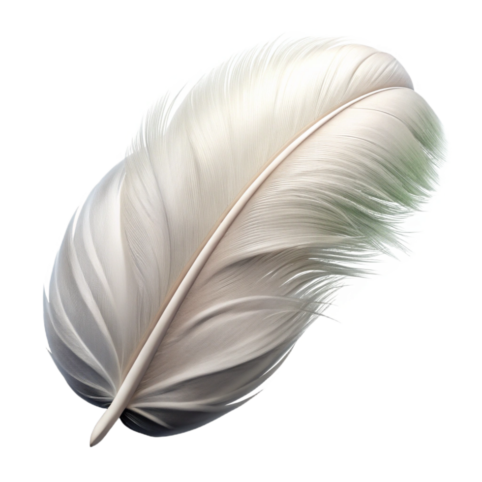 exquisite industrial Feather, white, fluffy NO BACKGROUND with Transparent Background. museum quality png