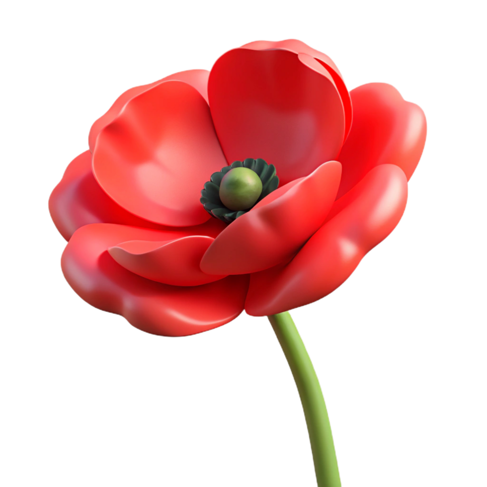 exquisite contemporary A single, red poppy flower. NO BACKGROUND with Transparent Background. expertly shot png