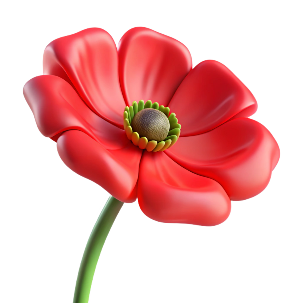 glorious rare A single, red poppy flower. NO BACKGROUND with Transparent Background. png