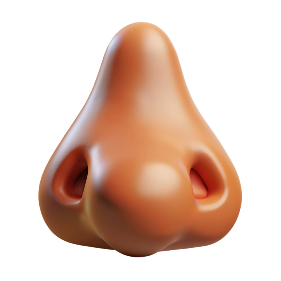 ethereal impressive A single, realistic human nose. NO BACKGROUND with Transparent Background. high quality png